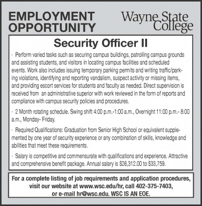 WSC Security Officer II - 2x4