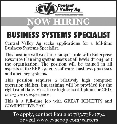 CVA_Business Systems Specialist_3_75