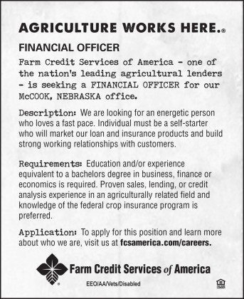 Financial Officer Ad McCook